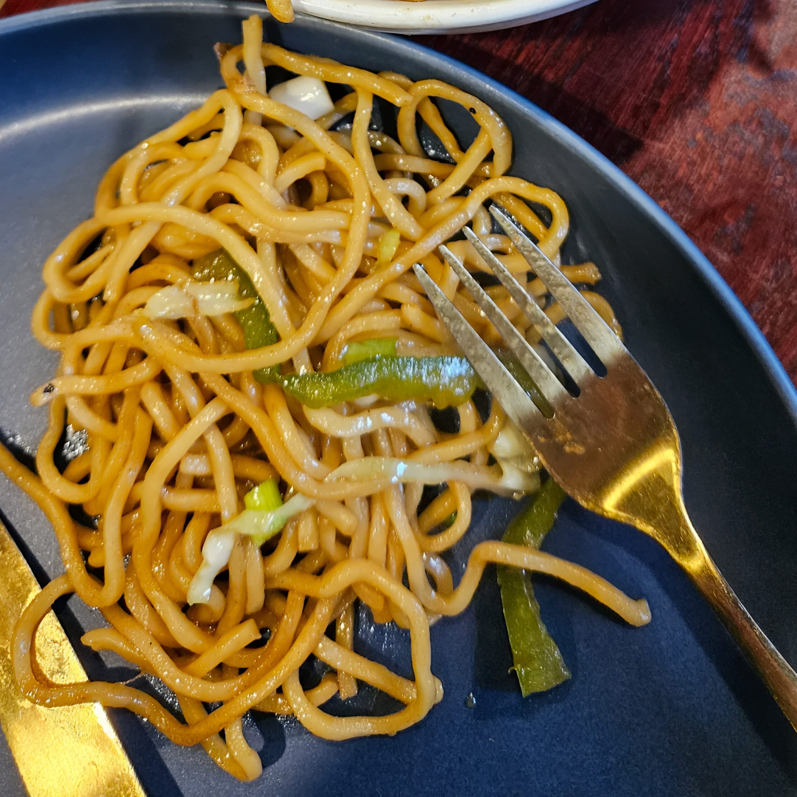 Indo Chinese Dish Detail 2